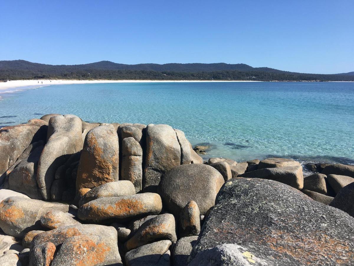 Bay Of Fires Great Escape Villa Binalong Bay Ngoại thất bức ảnh